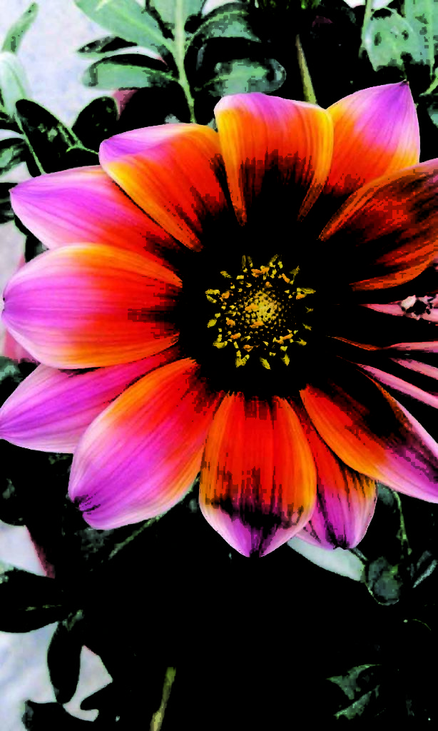 Color Modes in Adobe Photoshop - Designprotechs